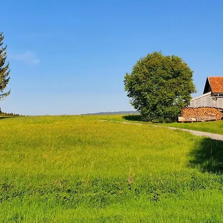 度假居 Am Hochbergle Haus 142 - Lechseeblick 莱希布鲁克